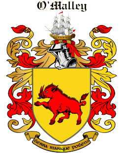 LOUGHNANE family crest